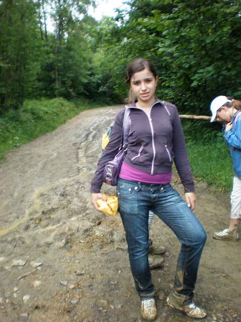 Wpis sysysylwia