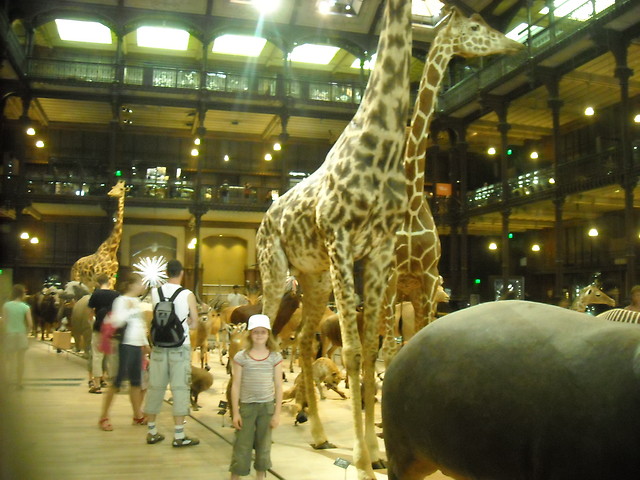 muzeum ewolucia