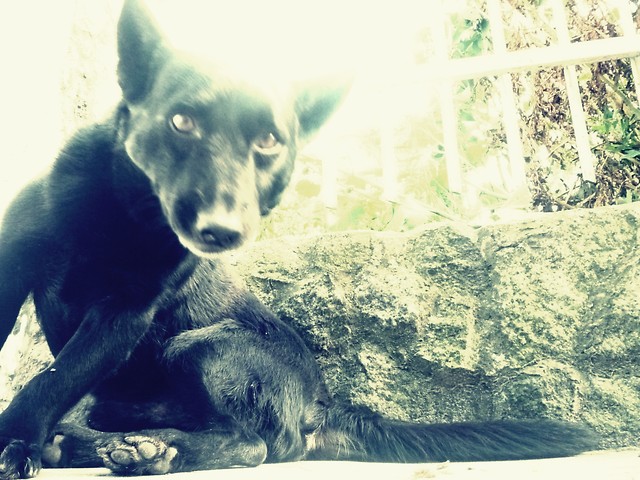 Bu...;p