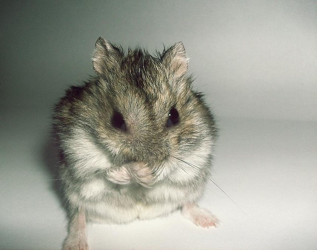 Pozytywnie.!