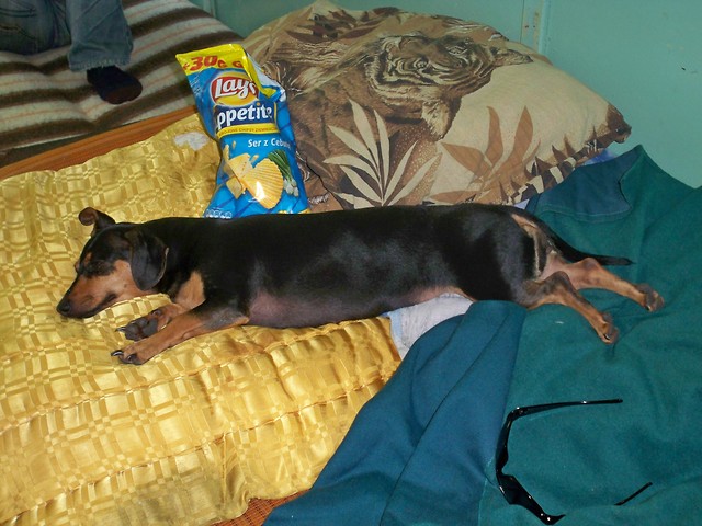 lays