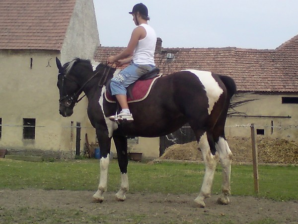 Wpis locja