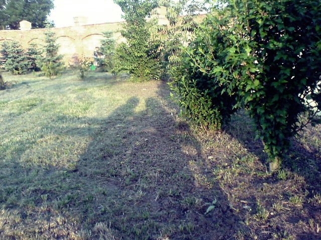 Wpis klauudia2