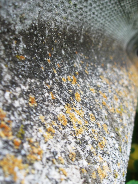Co .