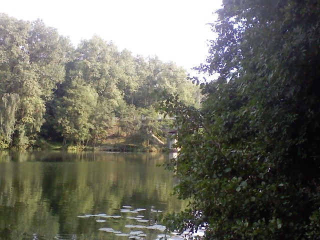 Wpis lizaczek95