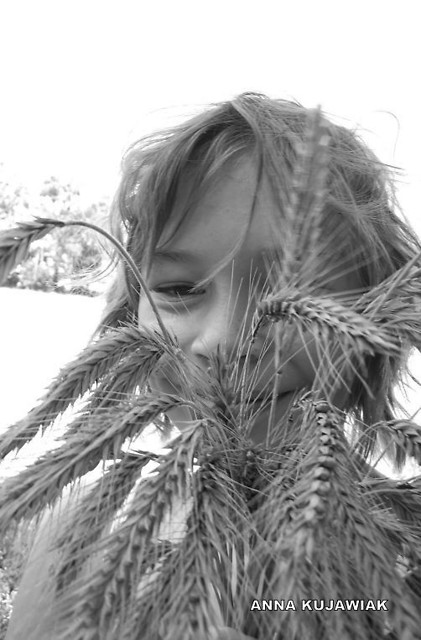 brak nazwy...........