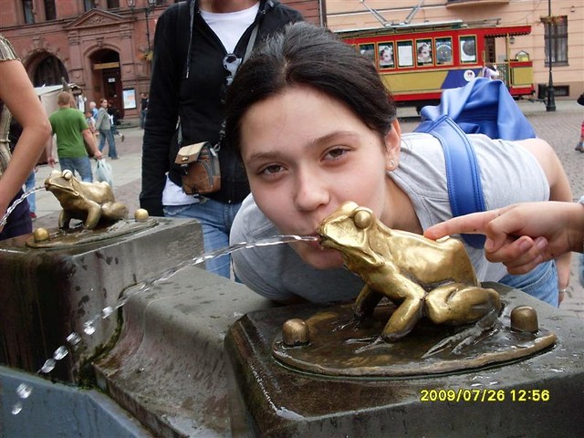 low ju Frog 