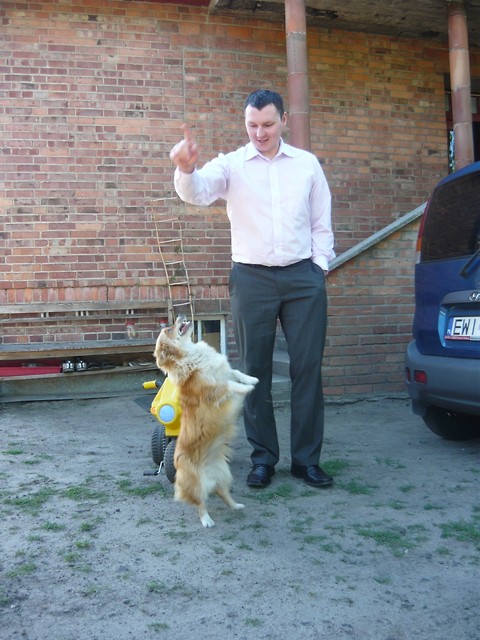 Wpis mirsmars