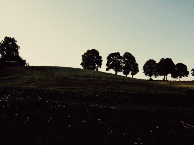 Wpis felebrlle