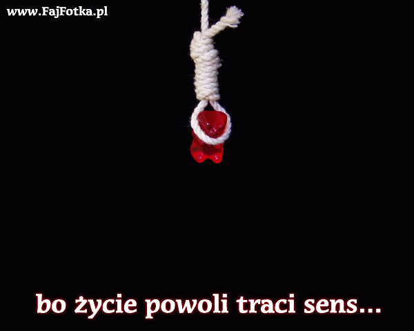 Wpis myszorki95