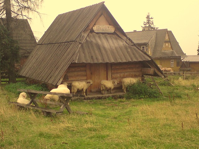 Wpis wiatruszept