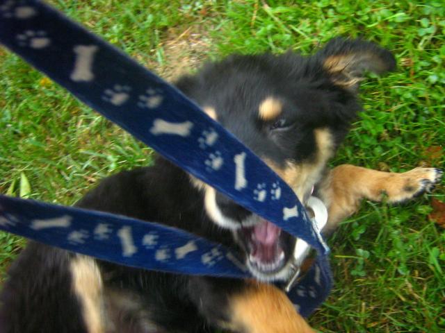 ;p