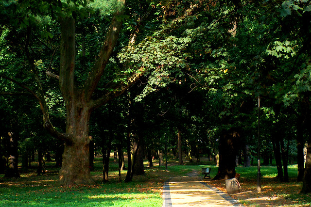Park, tym razem niaski
