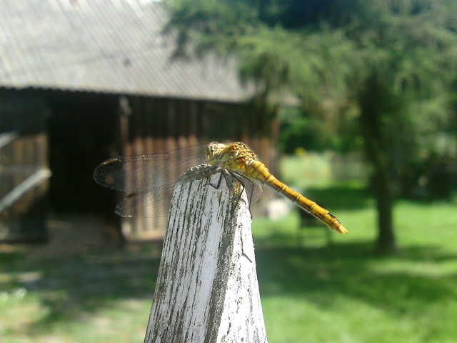 Mazurskie klimaty ;)