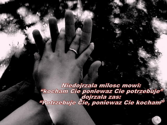 Wpis anek29