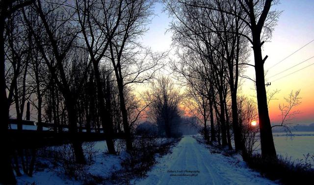 Road above Meadows