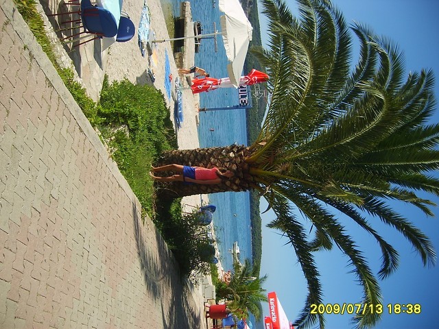 W Chorwacji ;***