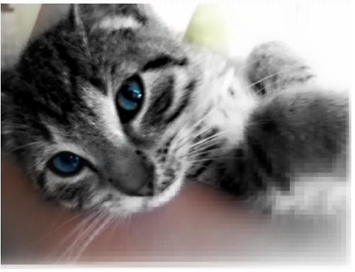 Mj kochany asuszek :)) ;**