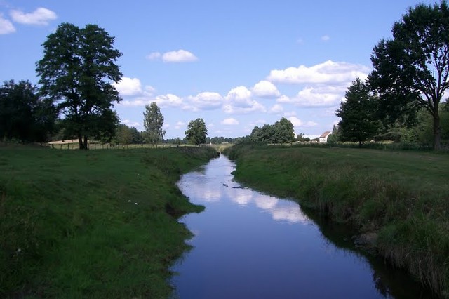 Wpis peliczek
