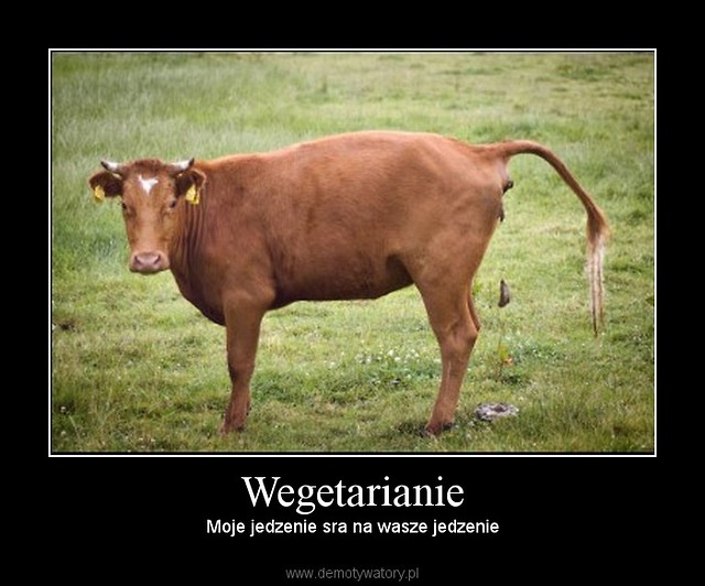 Braciszek mi wysa xD