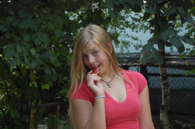 Wpis herubinek