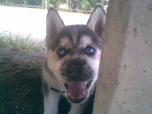 ramzus :D:D