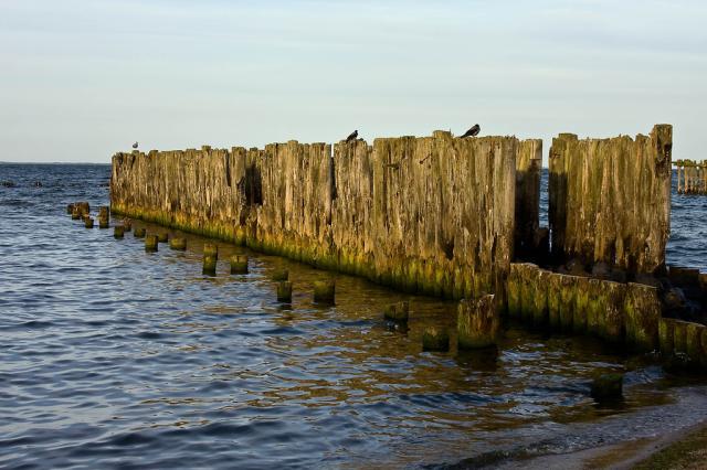 Gdynia