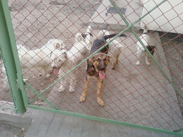 Kejti