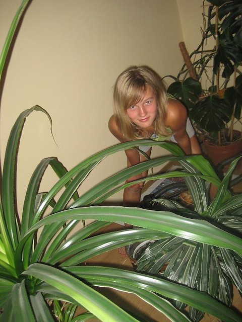 Wpis kasica08