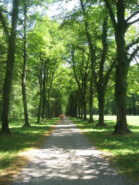 park w ...