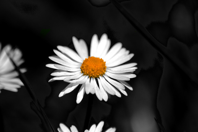 Wpis photoblogi