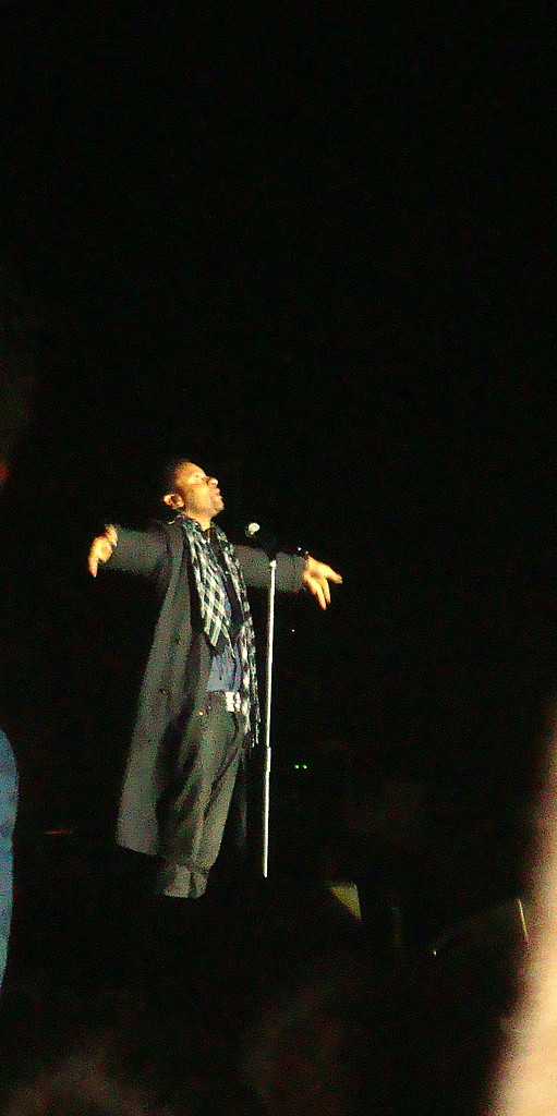 shaggy 