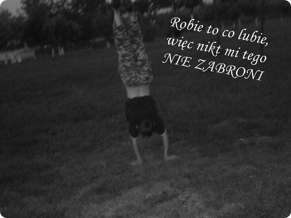 Wpis wrobelek202