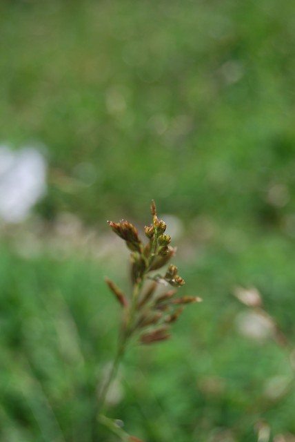Wpis karolcia0905