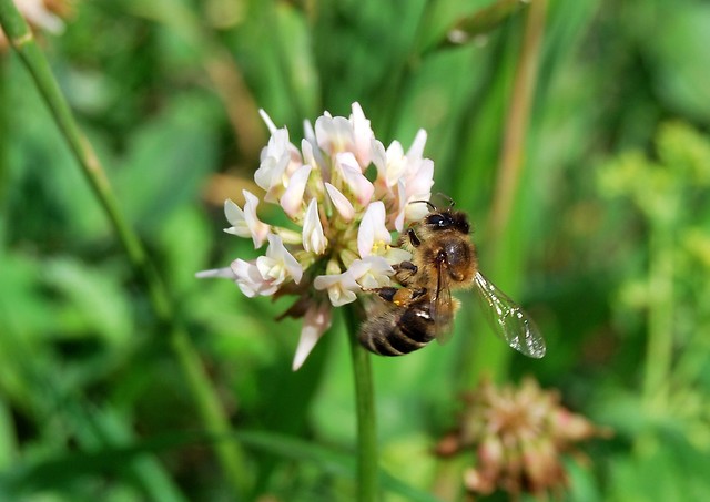 Wpis karolcia0905