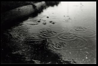 sorrow