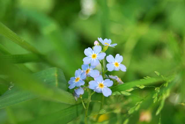 Wpis karolcia0905
