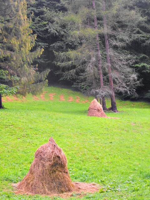 ' natura.