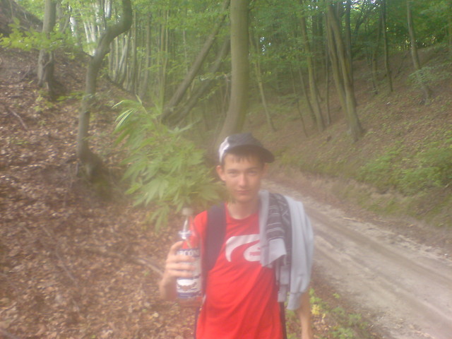 Wpis lizorek