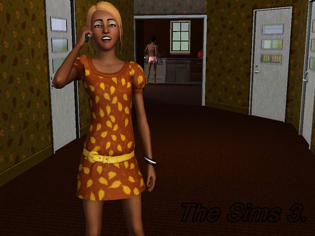 Wpis fblsims3