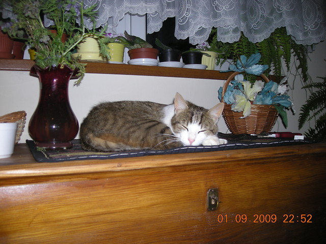 Tymek Sleeping : D