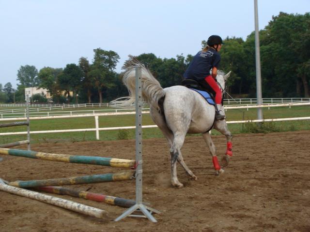 Wpis corda