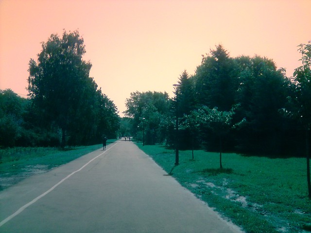 Wpis sekta1