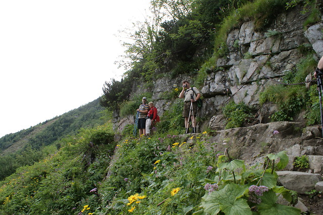 babia.