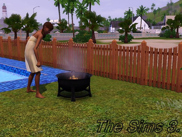 Wpis fblsims3