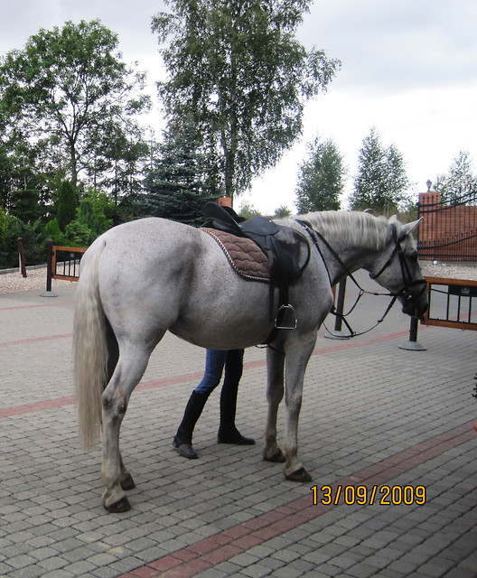 Mj Misiek :***