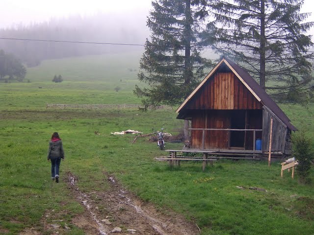 Wpis wesna