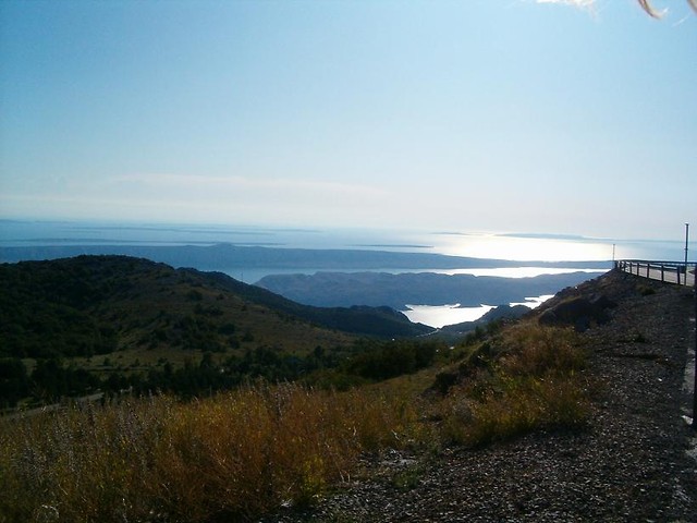 Wpis gloniasta