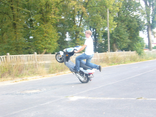 Wpis bulastunt