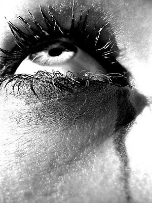 ...plagued by loneliness
